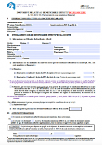 Inscription au registre des bénéficiaires effectifs : formulaire DBE-S