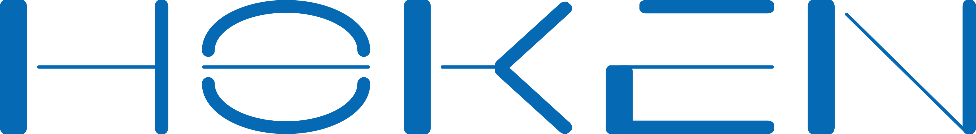 hoken logo
